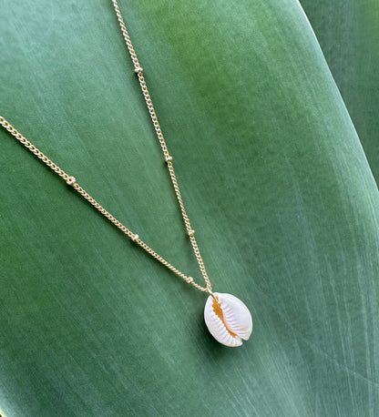 Cowrie Shell Gold Necklace