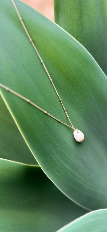 Cowrie Shell Gold Necklace