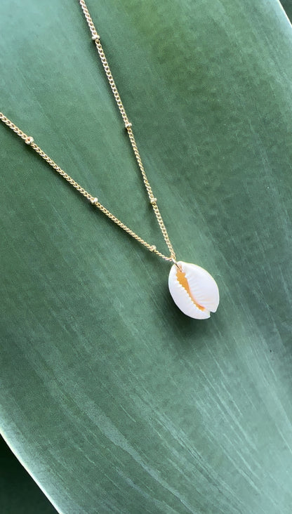 Cowrie Shell Gold Necklace