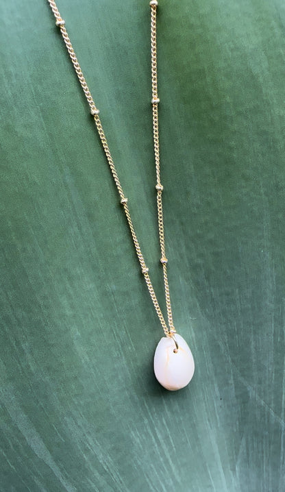 Cowrie Shell Gold Necklace