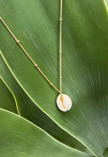 Cowrie Shell Gold Necklace