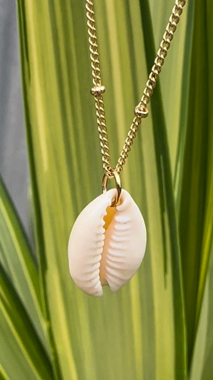 Cowrie Shell Gold Necklace