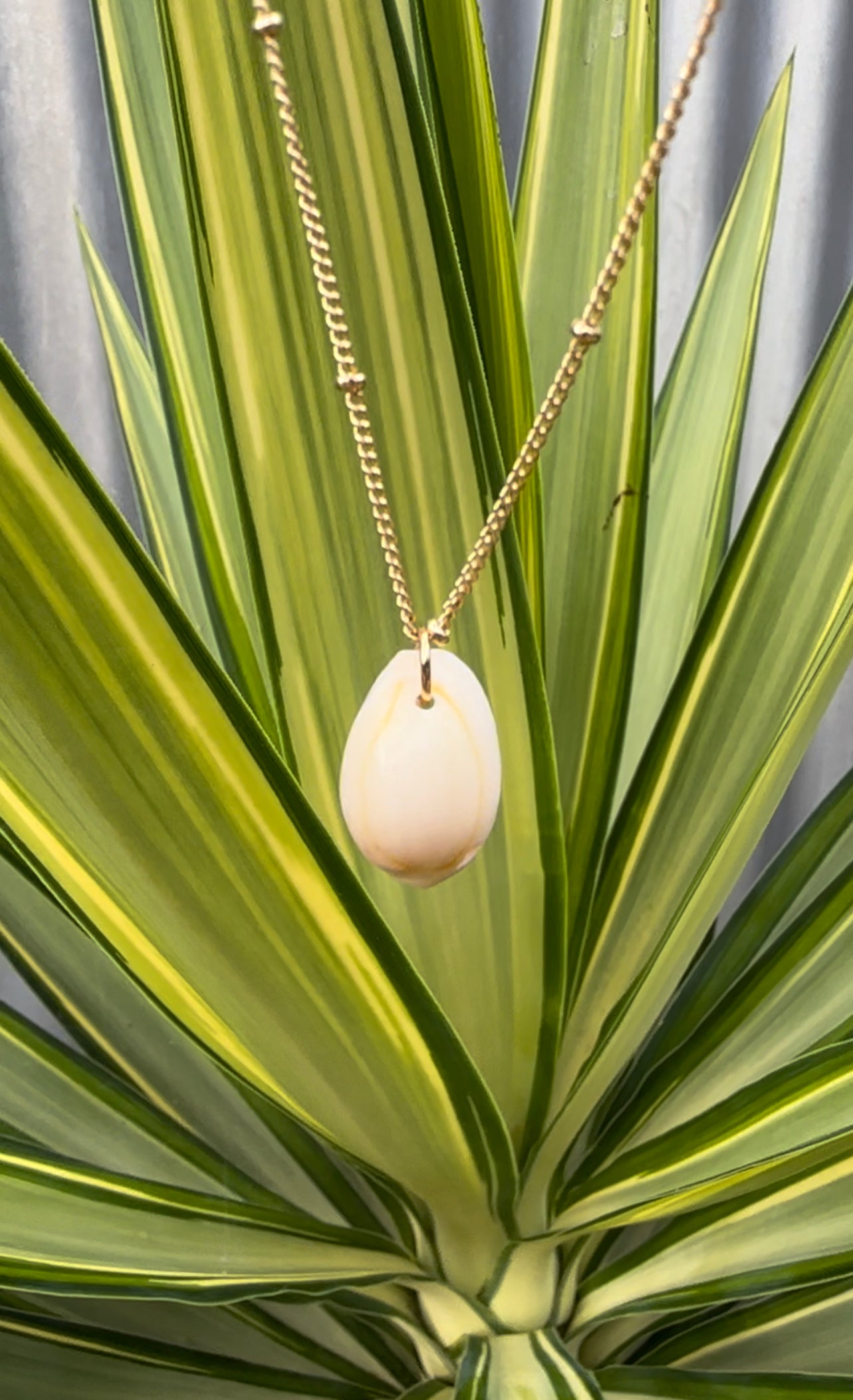 Cowrie Shell Gold Necklace